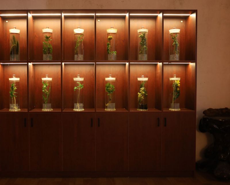 新鄉市求精教學儀器有限公司